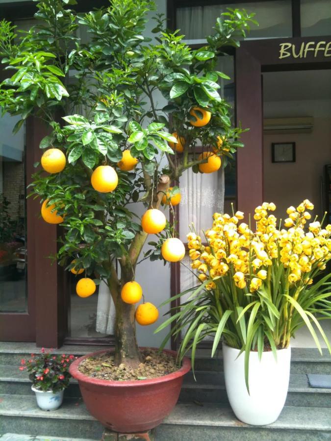 Thien Anh Hotel Hai Phong Eksteriør billede